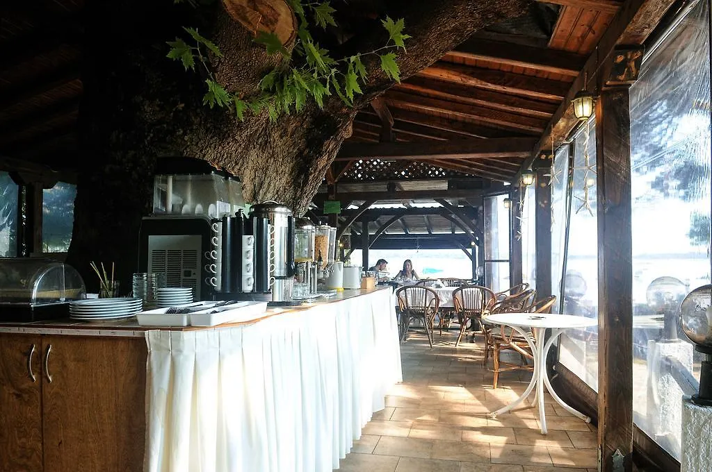 Haus Platanos Apartments & Bungalows By The Sea Vourvourou